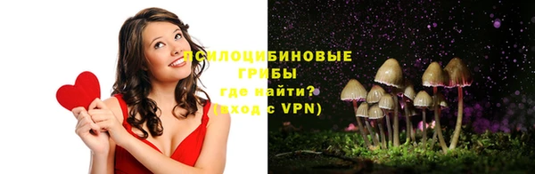 PSILOCYBIN Мегион