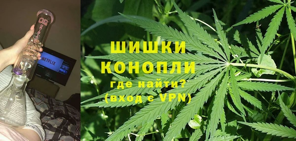PSILOCYBIN Мегион