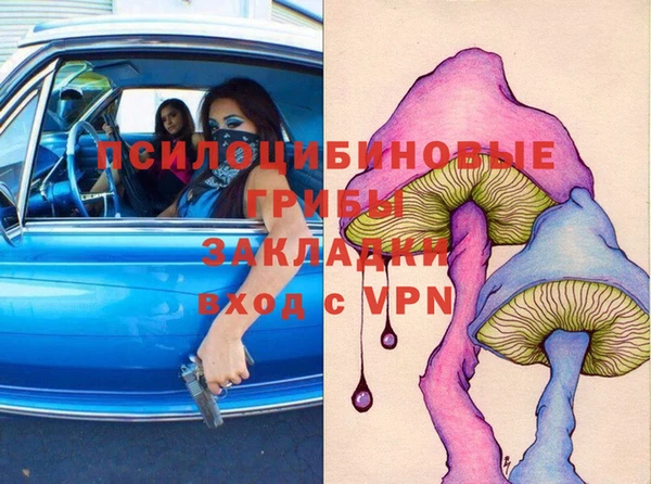 PSILOCYBIN Мегион