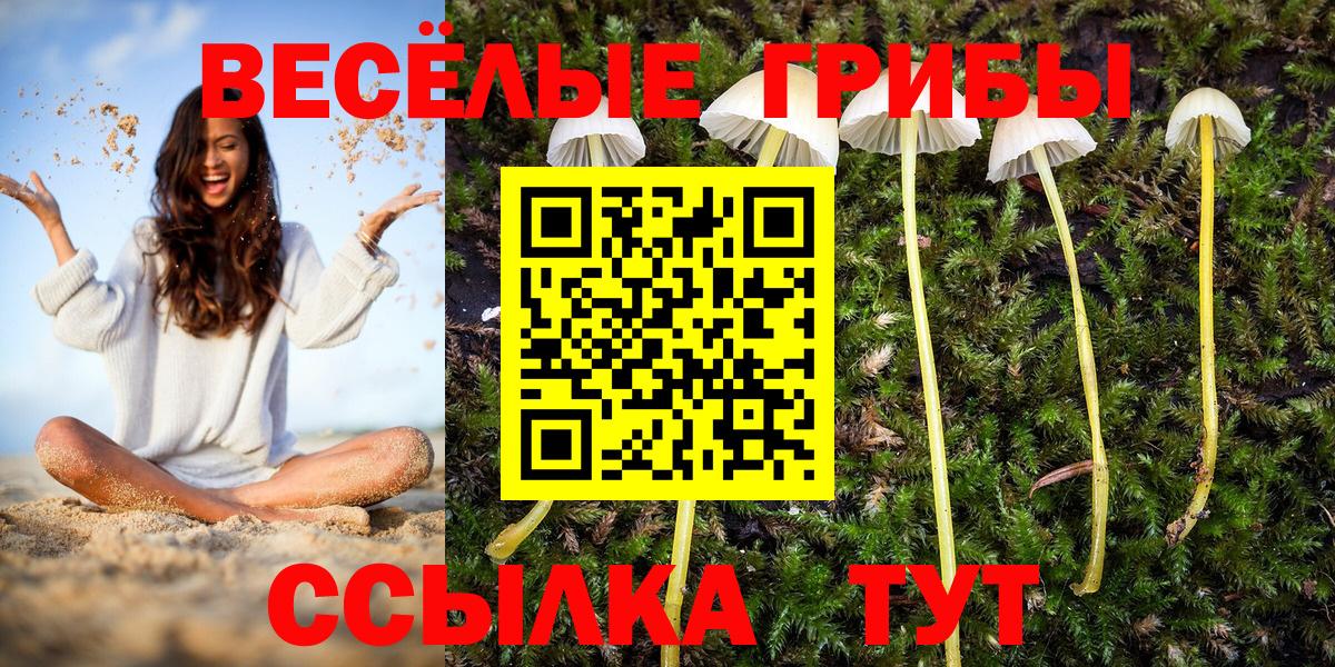 Зеленокумск  Псилоцибиновые грибы Cubensis  Галлюциногенные грибы MAGIC MUSHROOMS  Вход с VPN 