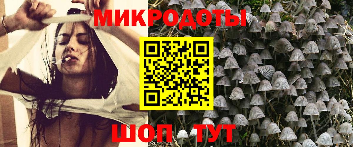 как найти   Галлюциногенные грибы мухоморы  Зеленокумск  Псилоцибиновые грибы ЛСД 